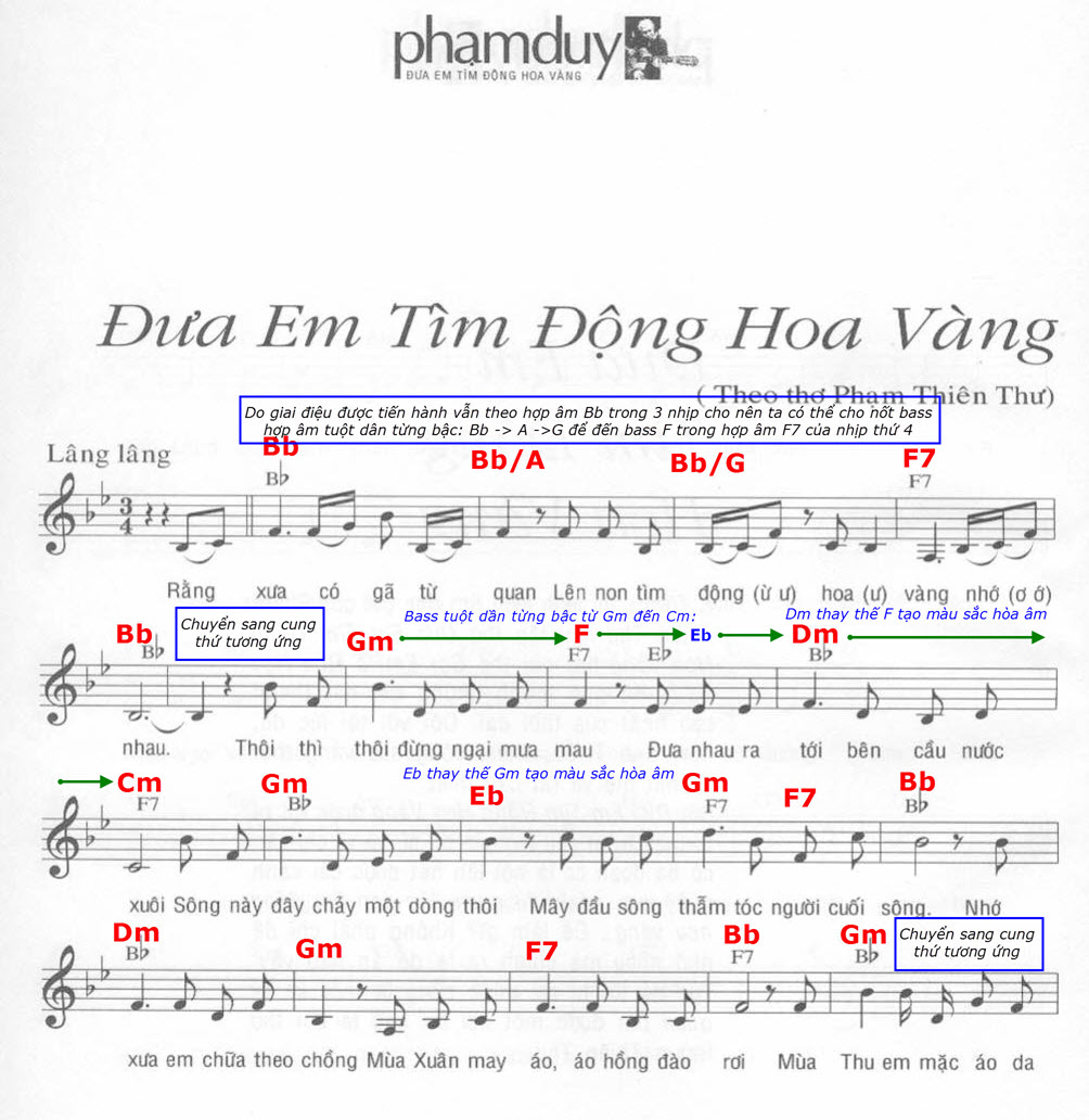 Dua Em Tim Dong Hoa Vang-1.jpg